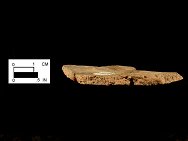 Paste shot of a Minguannan sherd cross-section from site 18CE14/152.